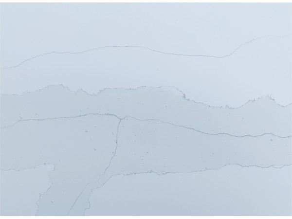 F113 Fantasia Silver